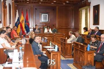  La lucha contra la lacra machista se sube al taxi en Telde/Francisco Javier Santana.